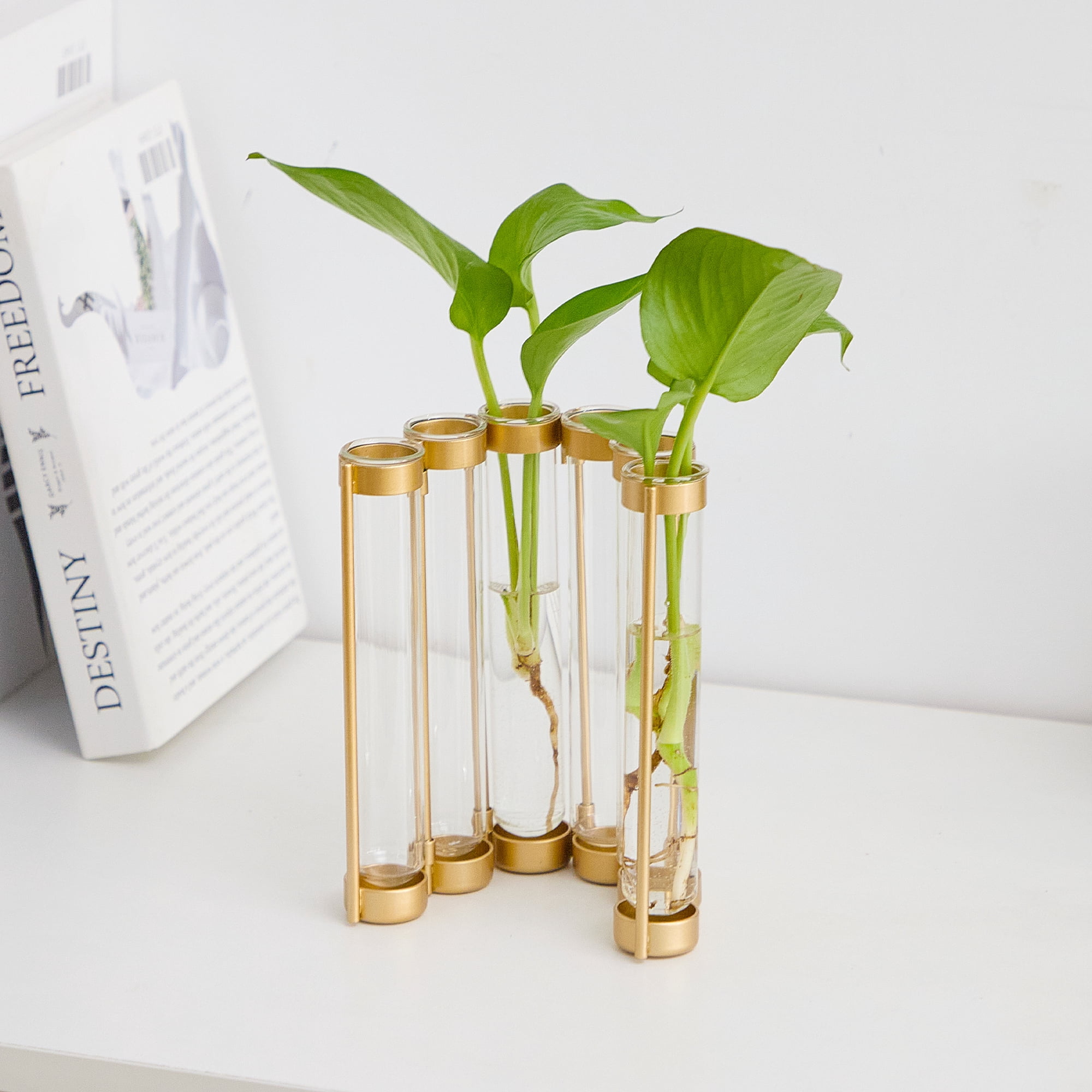 Better Homes & Gardens Gold Metal Propagation Station 6 Tubes