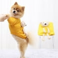 thumbnail image 6 of 2024 Pocket Bear Dogs and Pet Clothes Extra Large Cats Guard Clothes Autumn Cute Girl Dog Sweaters and Winter Plus Pet Clothes Small Dogs Warm Pet Dog Sweater Size Small Boy Clothes, 6 of 8