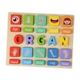 thumbnail image 3 of Juego educativo de mesa de rompecabezas Montessori para niños: herramienta de aprendizaje atractiva para Organo, 3 of 9