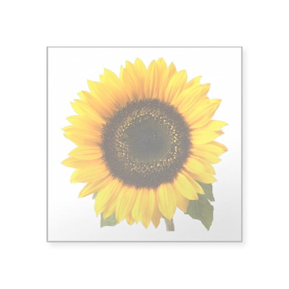 CafePress - Sunflower Square Sticker 3 X 3 - Square Sticker 3" x 3"