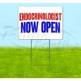 thumbnail image 1 of Endocrinologist Now Open (18" x 24") Yard Sign, Includes Metal Step Stake, 1 of 6