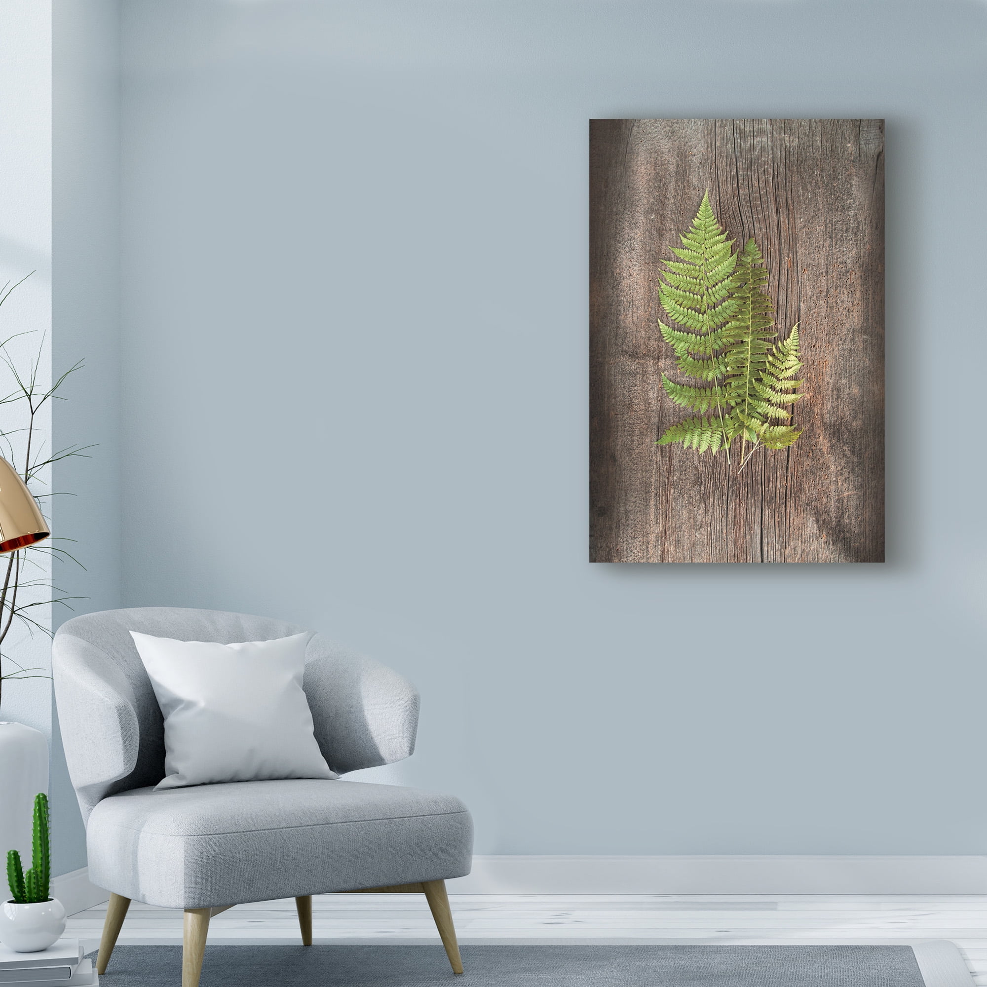 Trademark Fine Art 'Woodland Fern III' Canvas Art by Sue Schlabach