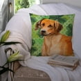 thumbnail image 3 of Carolines Treasures BB9850PW1414 Rhodesian Ridgeback St Patricks Fabric Decorative Pillow, 3 of 4