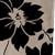 Bm 36 Khaki Black Flower