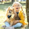 thumbnail image 5 of Crow Pack of Two Translucent Light and Breathable Chiffon Yarn Dog Bandanas, 40.6x40.6x58in and 53.3x53.3x76.2in, 5 of 5