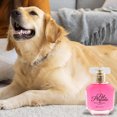 thumbnail image 5 of Pet Perfume A High Appearance Floral Spray Suitable for Dogs and Cats 50ml, 5 of 5
