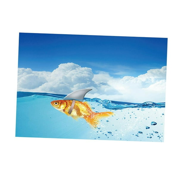 Bunblic High Quality Fish Poster Fish Tank Background Aquarium Sticker Wallpaper, Easy To Paste Xl Other Xl