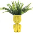 thumbnail image 4 of Resin Succulent Planter Pot Creative Head Face Flower Plant Vase Home Garden Decor Sculpture, 4 of 7