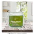 thumbnail image 4 of Vela Mainstays Esencia de Bosque 240 G, 4 of 4