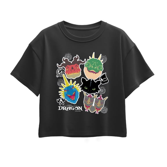 How to Train Your Dragon - Girls' Short Sleeve Boxy Graphic T-Shirt