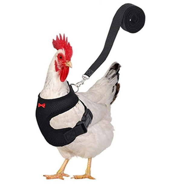 Pollo Ajustable Con Correa Chaleco De Mascota De Gallina Transpirable Con Cinturón A Juego De 3.6 Pies Cuerda De Tracción De Entrenamiento Al Aire Libre Para Mascotas Gallina Pato Ganso Minnieouse HA044941-24