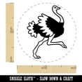 thumbnail image 2 of Ostrich Running Self-Inking Rubber Stamp Ink Stamper - Fuchsia Ink - Medium 1 Inch, 2 of 7