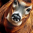 thumbnail image 3 of Manfei Woodland Safari Deer Shower Curtain 72Wx72L for Female Men Women,Jungle Animal Bath Curtain,Vintage Aesthetic Bathroom Curtain 72Wx72L,Bathroom Decor(Waterproof), 3 of 6