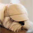 thumbnail image 5 of HQREA Puppy Hats with Ear Hole Adjustable Kitten Sun Visor Cap for Outdoor Sport, 5 of 5