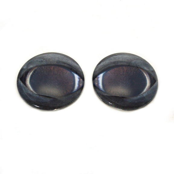 Dolphin Glass Eyes