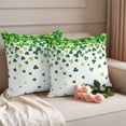 thumbnail image 2 of St. Patrick's Day Outdoor Waterproof Pillow Covers, Spring Lucky Shamrocks Rustic Leaves Decorative Square Throw Pillowcase Sofa Cushion Sham for Patio/Couch/Chair, 16"x16" 2 Pack, 2 of 8