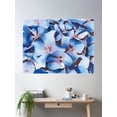 thumbnail image 2 of Marathon Hydrangeas Poster Wall Art, Modern Wall Decor For Living Room Bedroom, 8x12 UNFRAMED, 2 of 3