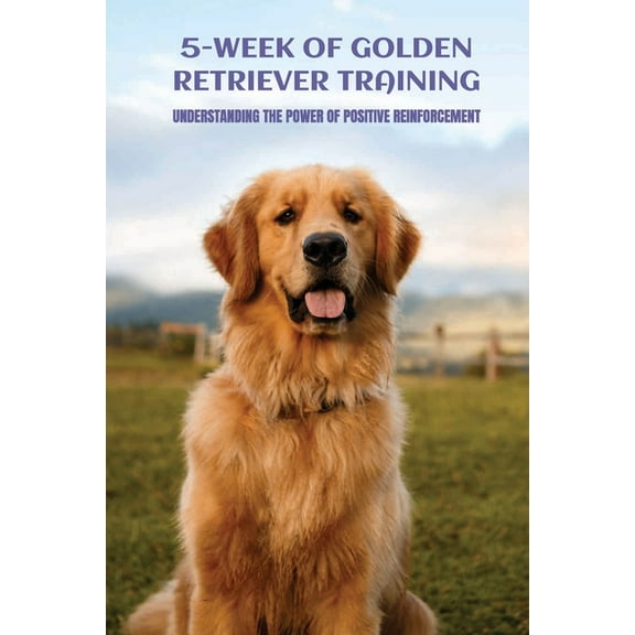 5-Week Of Golden Retriever Training: Understanding The Power Of Positive Reinforcement: Growth (Paperback)