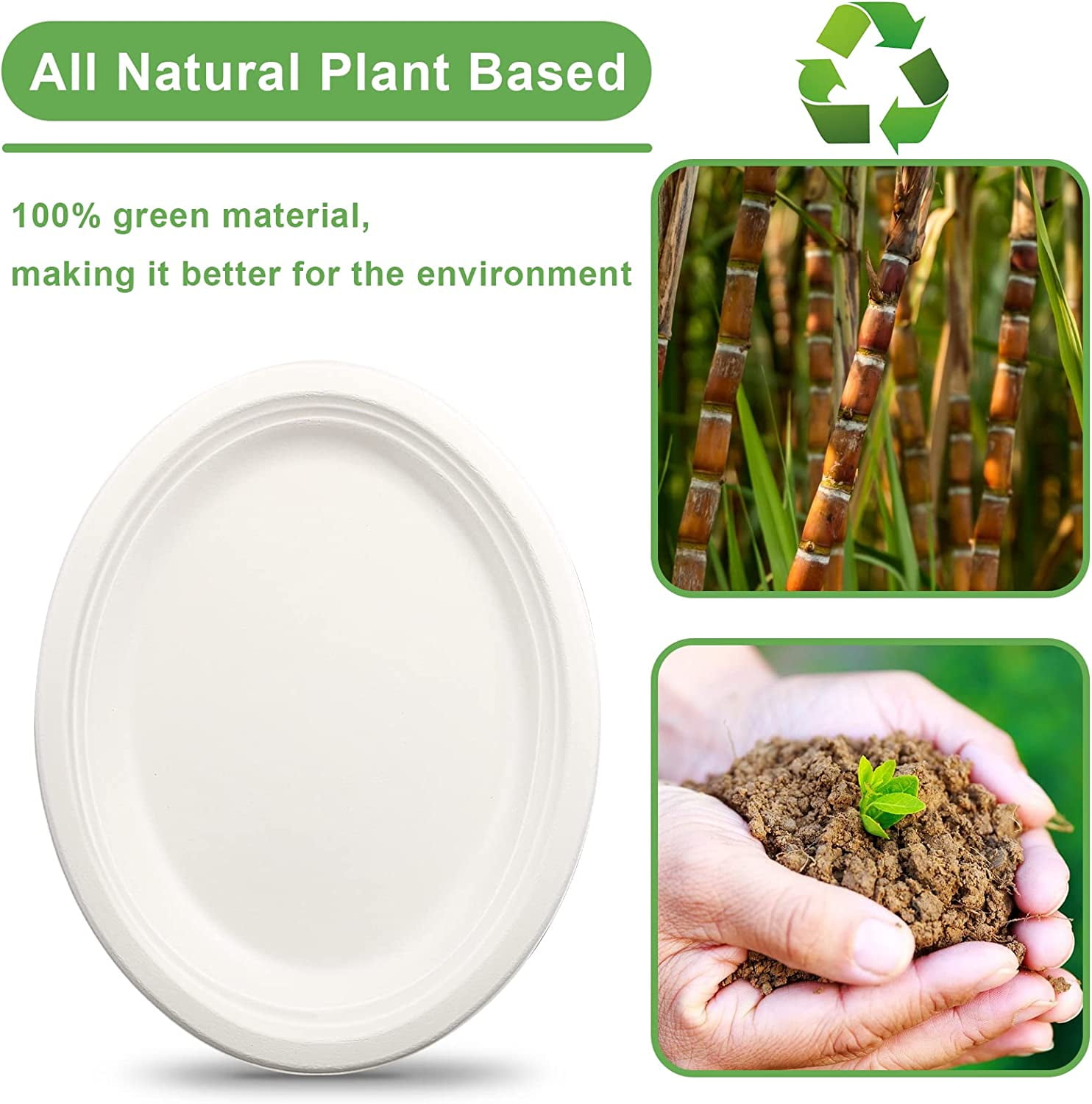100% Compostable White Oval 12.5-inch Paper Tray Heavy Quality Disposable Plates.