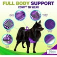 thumbnail image 7 of Katziela Dog Harness Walking Kit and Leash Set in Purple Large for Dogs Pack 1, 7 of 7