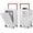 White, variant on Carry on Luggage, 24 Inch Expandable Hard Shell Suitcases with Spinner Wheels, Airline Approved Travel Luggage with TSA Lock, Lightweight Rolling Suit Case with USB Port, Cup Holder - Graphite