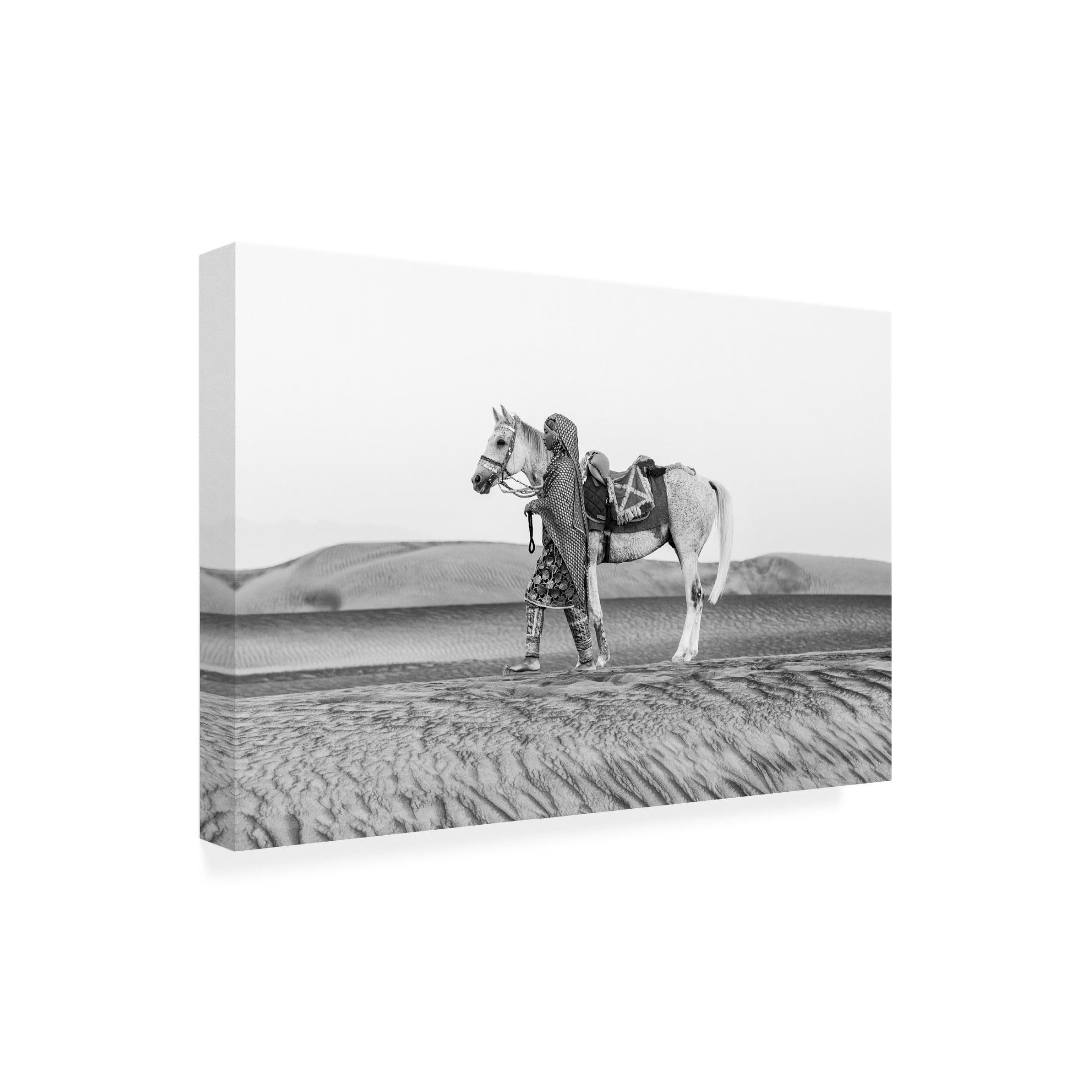 Trademark Fine Art Ziyad AL Maashari Horse love Canvas Wall Art