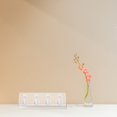 thumbnail image 3 of Miangastore Vitrine pour Mini Figurines Blanc Transparent 1Ensemble 13.8x2.6x4.9in, 3 of 9