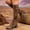 Leopard Print, variant on Women's Chunky Heel Knee High Boots, Fall Winter Pointed Toe Chunky Heel Versatile Over The Knee Boots with Breathable Lining, Trendy Footwear for Daily Party Wear