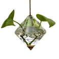 thumbnail image 2 of SPRING PARK Glass Hanging Planters Succulent Terrarium Pots Containers Air Plant Flower Vase Indoor Outdoor for Home, Garden, Weddding, Party, Anniversary, 2 of 7