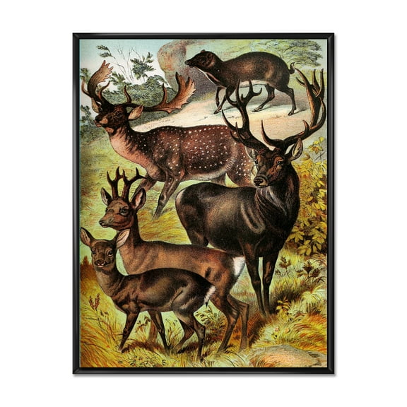 Designart 'Old-world Mammals I' Farmhouse Framed Canvas Wall Art Print
