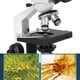 thumbnail image 3 of Microscopio trinocular compuesto ANGGREK Aumento de 40X a 1600X Plataforma mecánica escenario Oculares de Campo Plano WF10 y WF16X para Laboratorio digital, 3 of 7