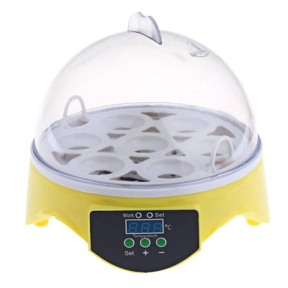 Incubator 7 Eggs Incubators Digital Poultry Hatcher for Hatching Chick Quail Bird, Mini Chicken Egg Incubator