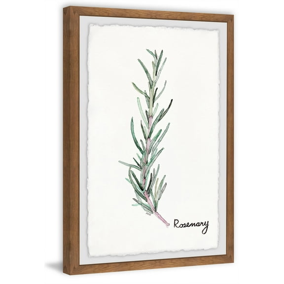 Herb Rosemary Framed Painting Print