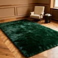 thumbnail image 2 of 4'x6' Soft Rug Indoor Modern Fluffy Area Rugs for Living Room Bedroom Carpet Home Decor,Green, 2 of 6