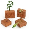 thumbnail image 1 of 4pcs Simulation Plant Growth Cycle Model Action Figures Soil Seed Germination Growth Process Cognitive Toys For Kids, 1 of 6