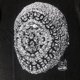thumbnail image 4 of Camiseta con estampado de Frog Drift para hombre y mujer, ropa Vintage holgada de gran tamaño con estampado divertido de gráficos, DONDA KANYE WEST, UnisexVintage black, 4 of 5