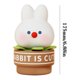thumbnail image 3 of LED Bonsai Bunny Lámparas de noche Adorno Silicona Bunny Mesa Luz Niños Juguete Regalo WDOplteas Para estrenar, 3 of 3