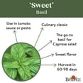 thumbnail image 5 of Burpee Sweet Basil Herb Seed, 1-Pack, 5 of 6