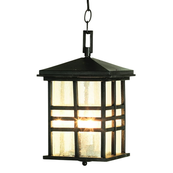4638 BK-Trans Globe Lighting-Craftsman - Two Light Outdoor Hanging Lantern Black Finish with Seeded