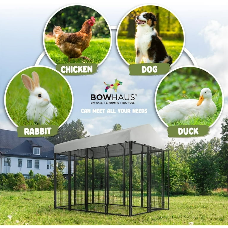 Pet Spa Pet Boarding And Grooming Near Me Pet Grooming Dog Walking