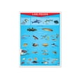 thumbnail image 1 of Póster Los Peces Educatodo B-0881-I, 1 of 2