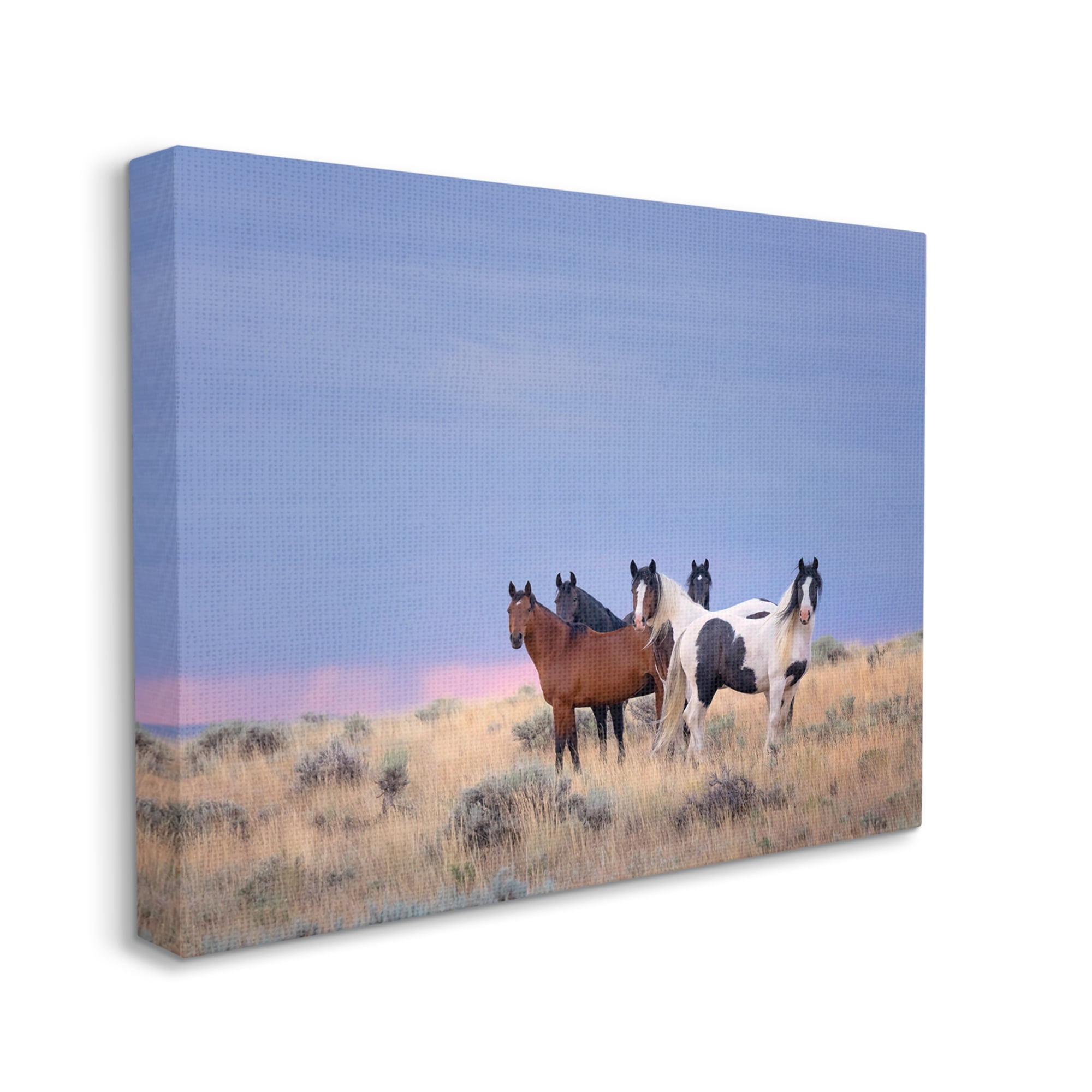 Stupell Industries Country Horses in Meadow Animals & Insects Photography Gallery Wrapped Canvas Art Print Wall Art, 30 x 24