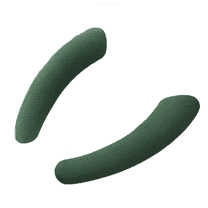 ACDANC Toilet Seat Cover,Fabric Surface Is More Durable Toilet Seat Warmer,Ready to Use Seat Cushion,Green