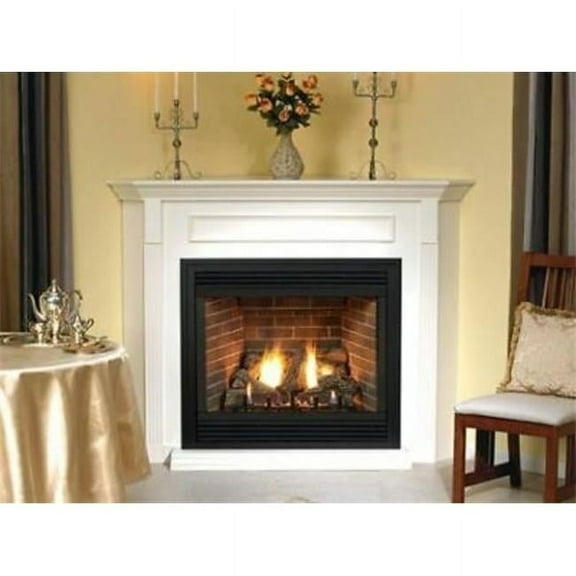 Multi-Function Control Natural Gas Fireplace with Blower