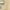 Beige, variant on Toddler Boy Clothes 2T Toddler Boy Clothes Toddler Boys Clothes Sets Little Boy Clothing Long Sleeve Pullover Jogger Pants Kids 2 Pieces Outfits 2-3 Years Beige
