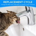 thumbnail image 4 of Filtros de Agua para Mascotas MyfatBOSS en Blanco Paquete de 12 2L y 3.5L, 4 of 7