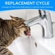 thumbnail image 4 of Filtros de Agua para Mascotas MyfatBOSS en Blanco Paquete de 12 2L y 3.5L, 4 of 7