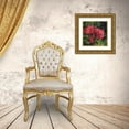 thumbnail image 3 of Besedina, Anastasiia 15x15 Gold Ornate Wood Framed with Double Matting Museum Art Print Titled - Rose Branch, 3 of 4