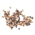 thumbnail image 3 of Semillas de pino silvestre, 50 g, tolerantes al frío y al viento, xerófitas de baja temperatura, ideales para proyectos de paisajismo, 3 of 8