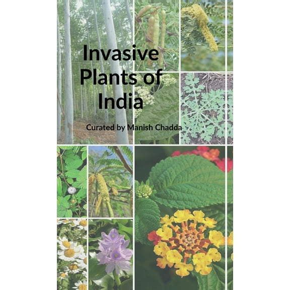 Invasive Plants of India, (Hardcover)